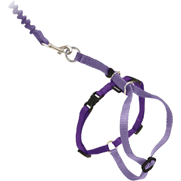 Come With Me Kitty Cat Harness